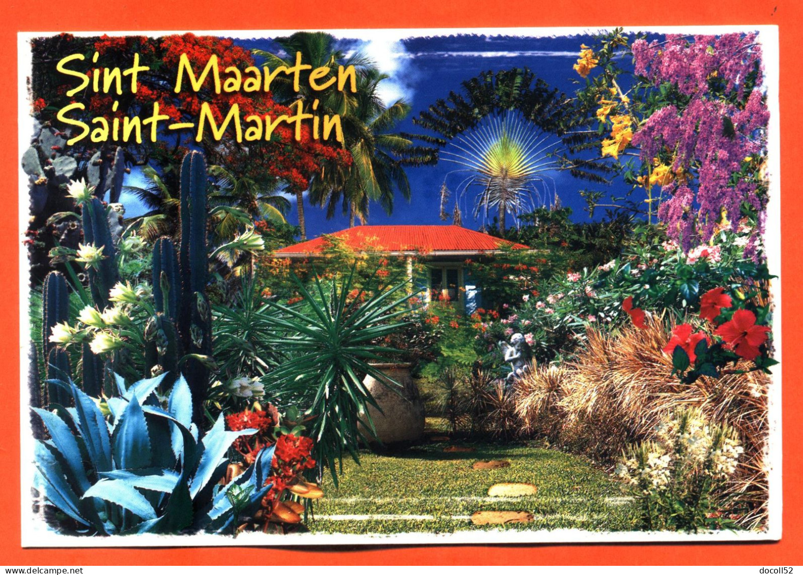 CPSM GF GUADELOUPE - SAINT MARTIN " Fleurs De L'ile " - Saint Martin