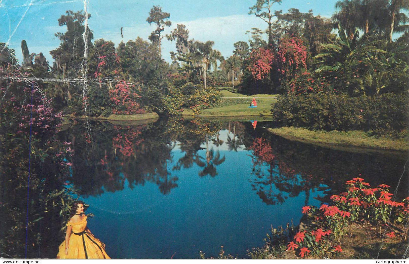 Postcard USA FL - Florida > Orlandoblossom Time 1976 - Orlando