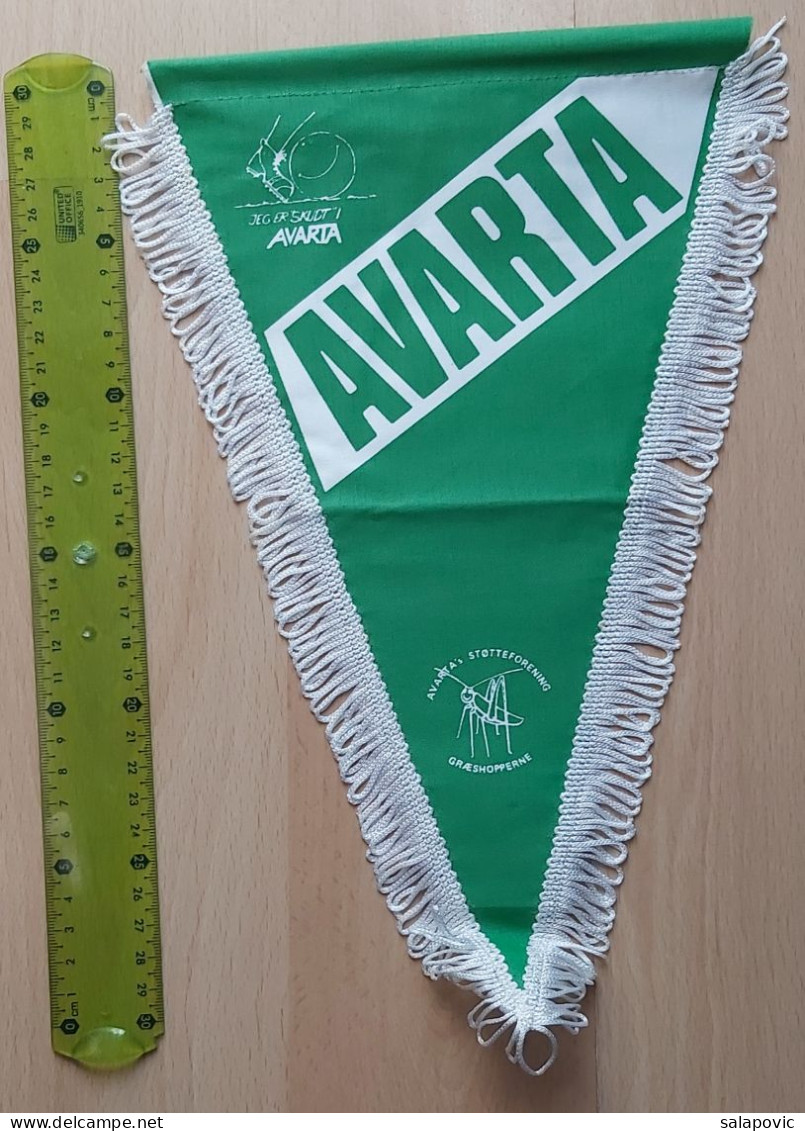 Boldklubben Avarta Denmark Football Club  PENNANT, SPORTS FLAG ZS 4/11 - Uniformes Recordatorios & Misc