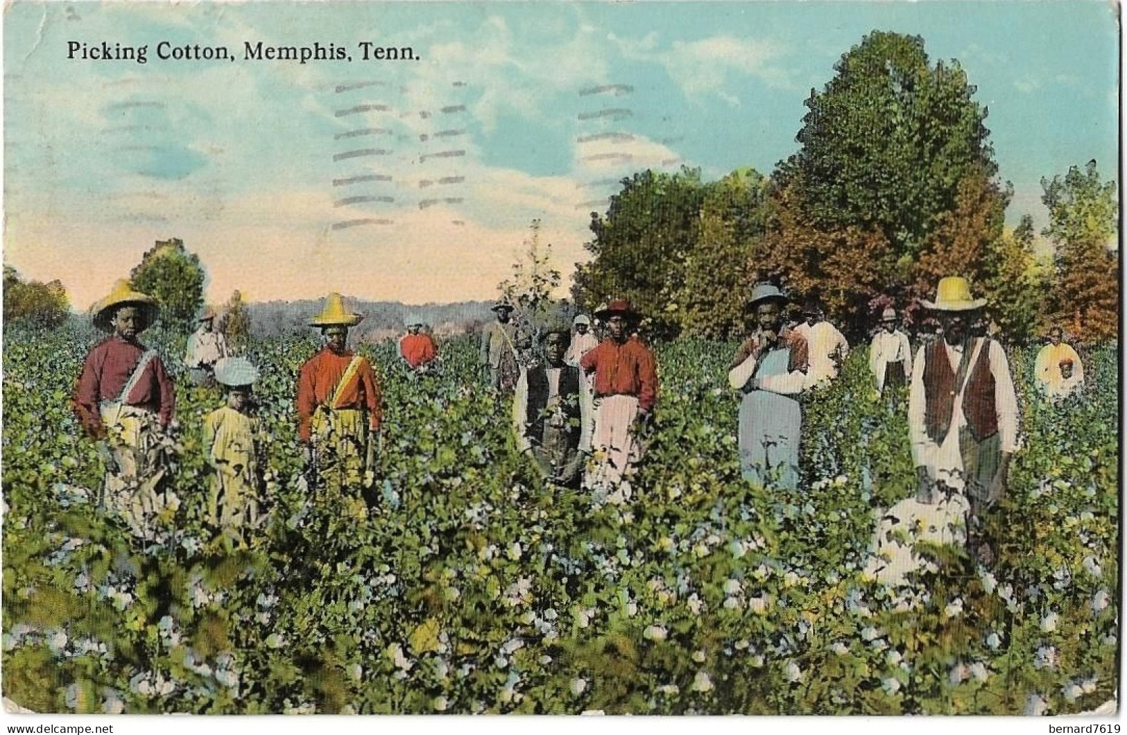 Etats Unis -    Picking  Cotton -    Memphis -  Tennessee - Memphis