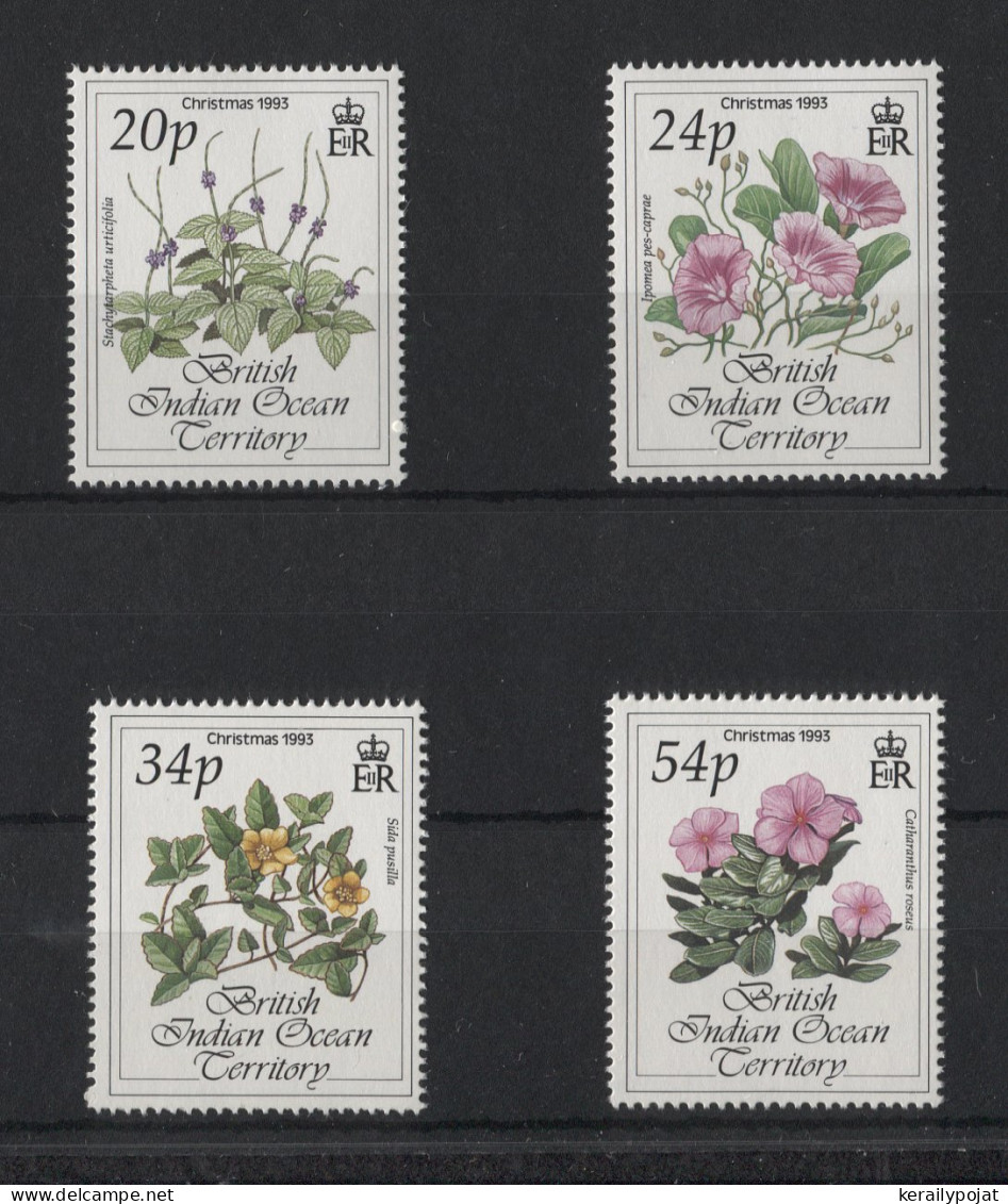 British Indian Ocean - 1993 Christmas Flowers MNH__(TH-21197) - Territoire Britannique De L'Océan Indien