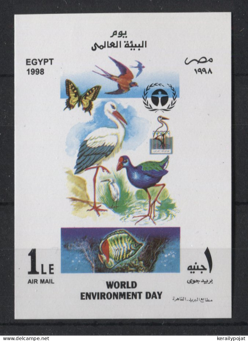 Egypt - 1998 International Environment Day Block MNH__(TH-21544) - Blocs-feuillets