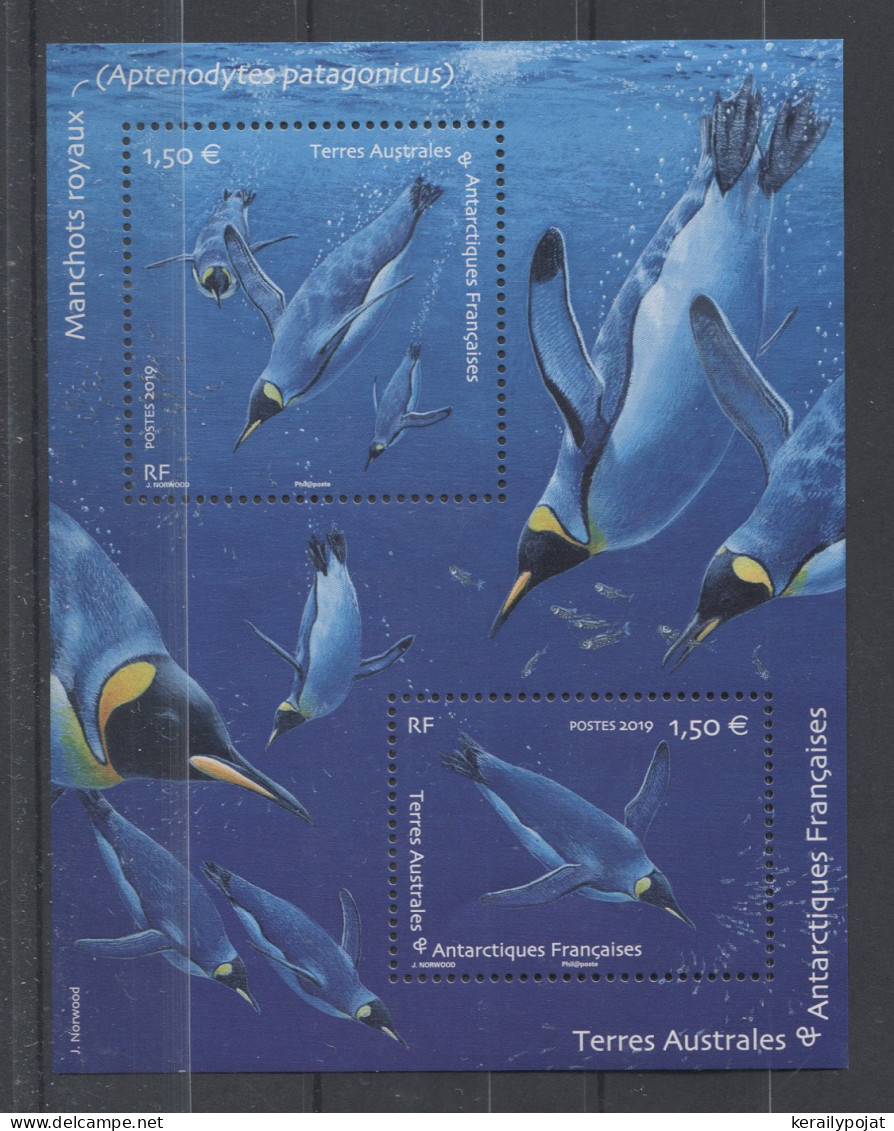 French Southern And Antarctic Territories - 2019 King Penguin Block MNH__(TH-11570) - Blokken & Velletjes