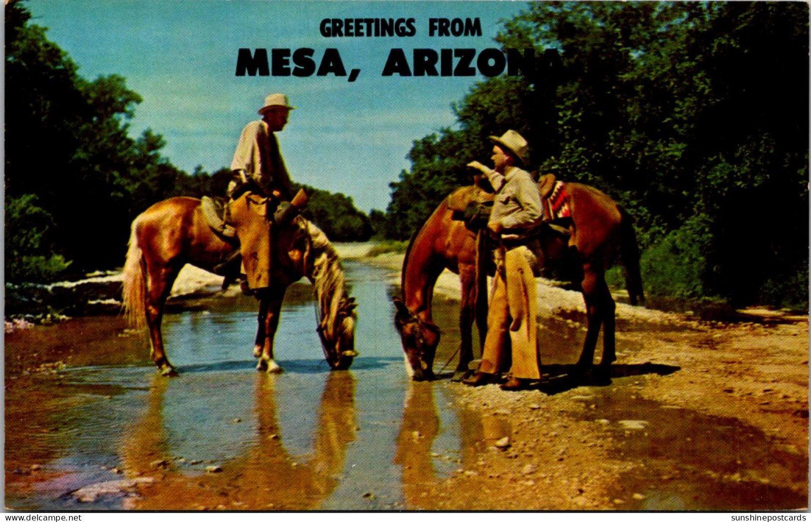 Greetings From Mesa Arizona Watering Horses - Souvenir De...