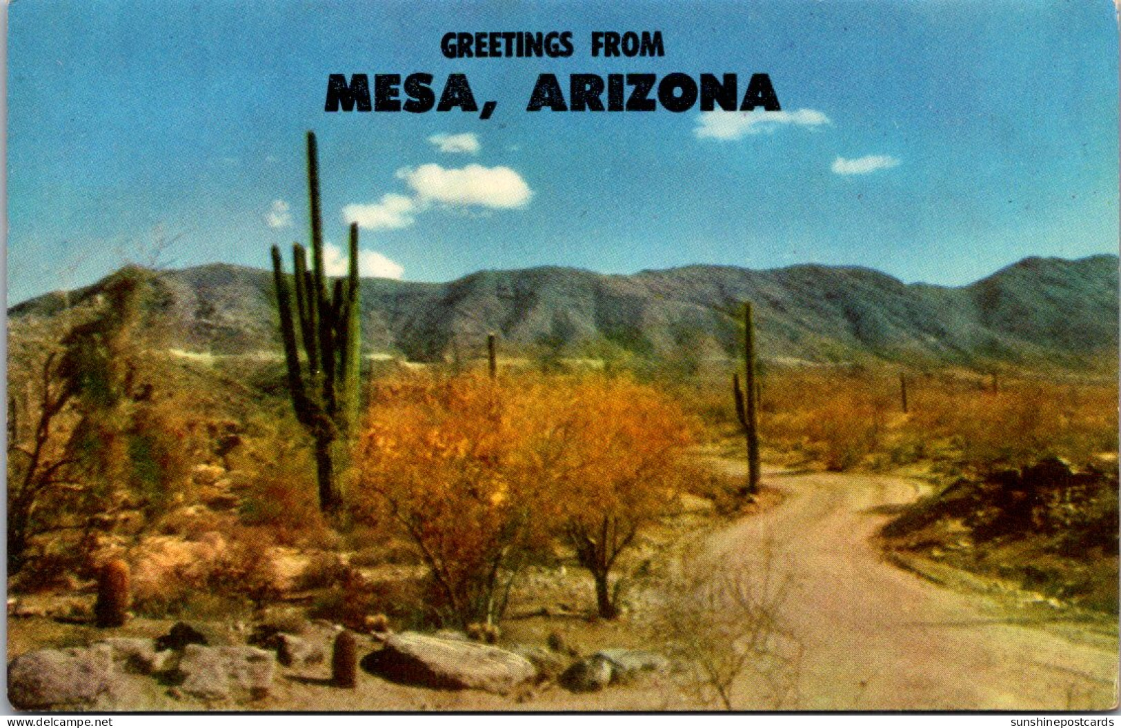 Greetings From Mesa Arizona Showing Desert Roadway With Saguara Cactus And Sagebrush - Souvenir De...