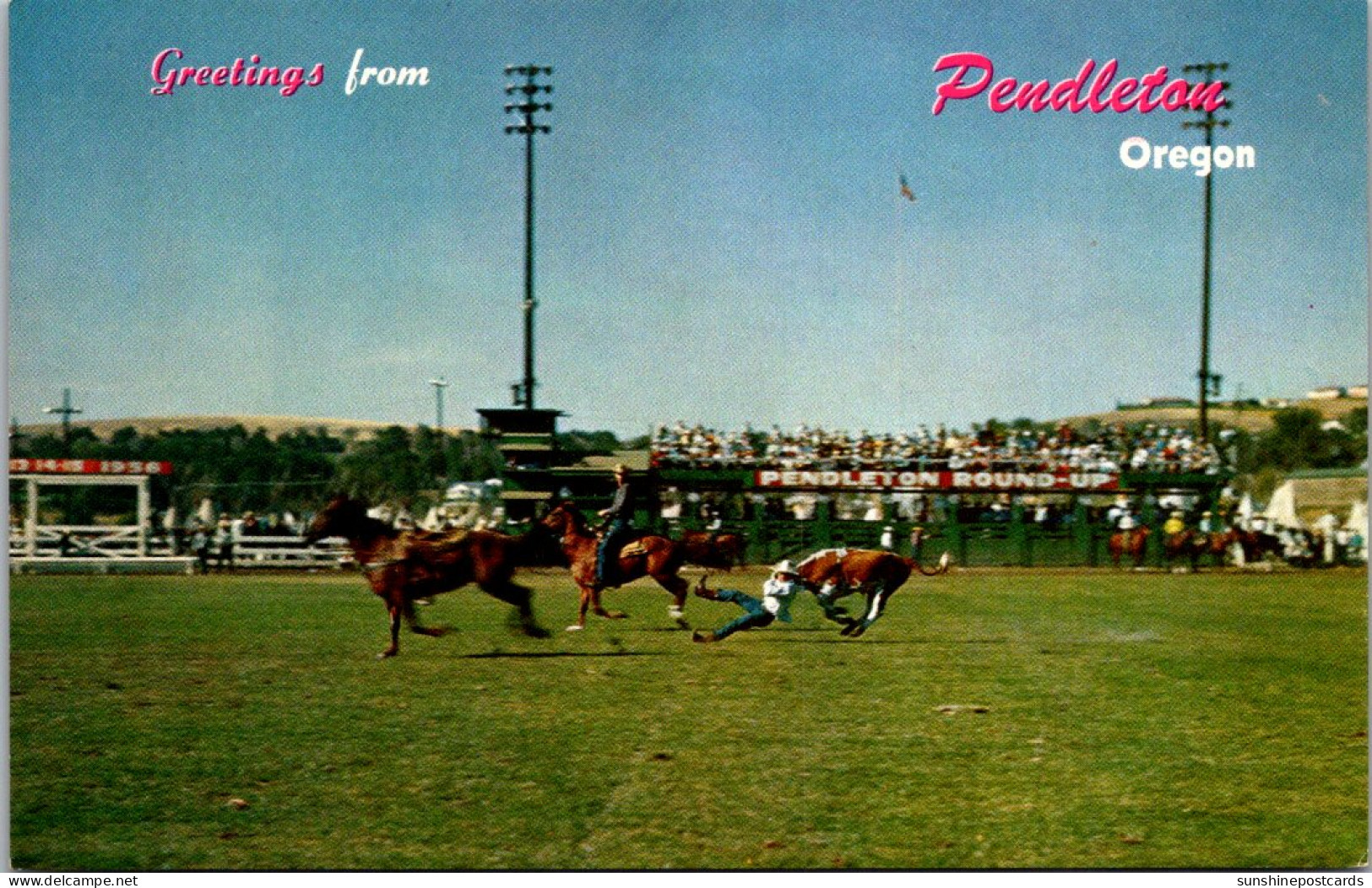 Greetings From Pendleton Oregon Showing Bull Dogging At Rodeo - Souvenir De...