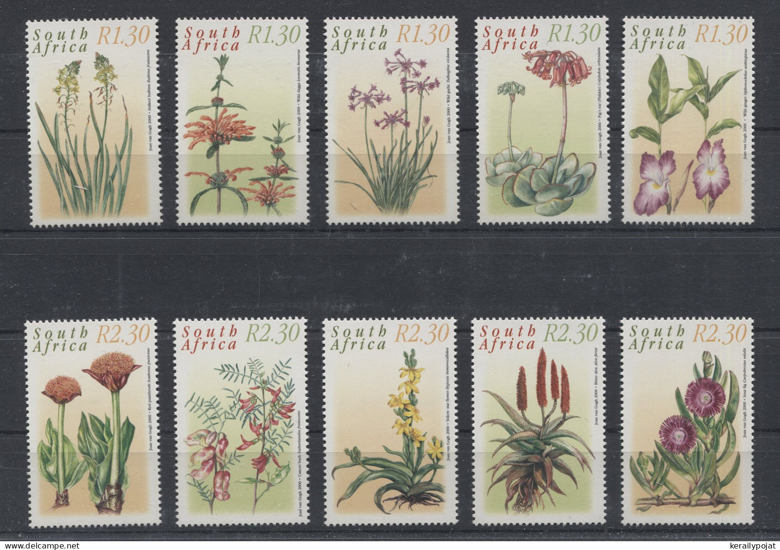 South Africa - 2000 Medicinal Plants MNH__(THB-249) - Nuovi