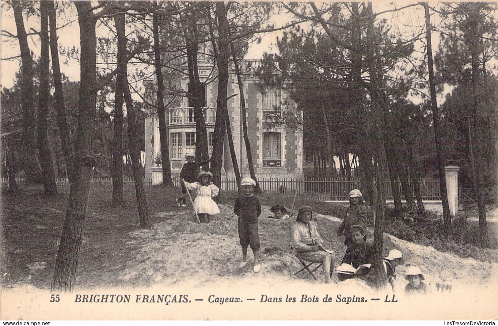 FRANCE - 80 - CAYEUX - Dans Les Bois De Sapins - LL - Carte Postale Ancienne - Cayeux Sur Mer