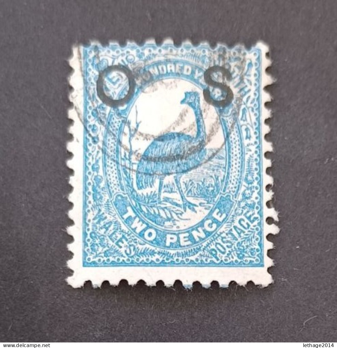 NEW SOUTH WALES 1888 EMU CAT GIBBONS N O41 PERF 11 X 12 ERROR WMK 40 REVERSED - Nuevos