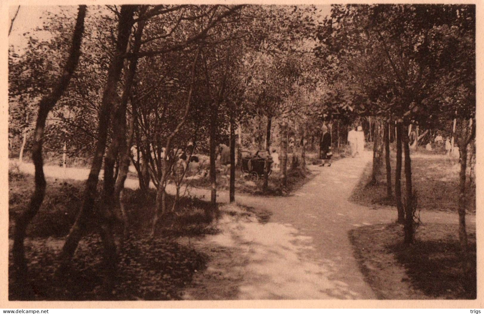 Heyst A. Zee - Wandeling Door 't Boschje - Heist