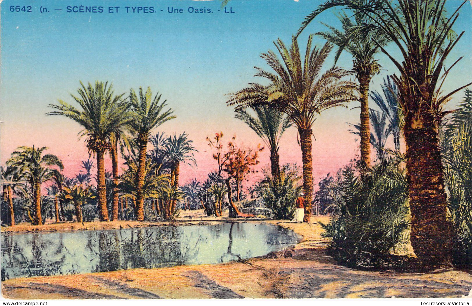 ALGERIE - SCENES ET TYPES - Une Oasis - Carte Postale Ancienne - Scènes & Types