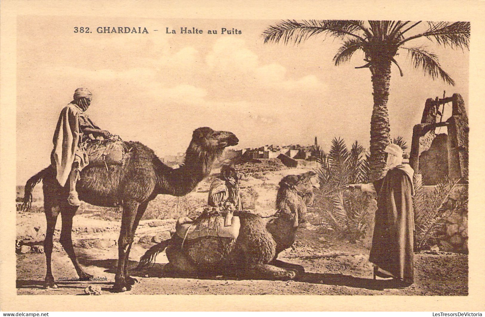 ALGERIE - GHARDAÏA - La Halte Au Puits - Dromadaire - Pub Chocolat CARDON CAMBRAI - Carte Postale Ancienne - Ghardaia