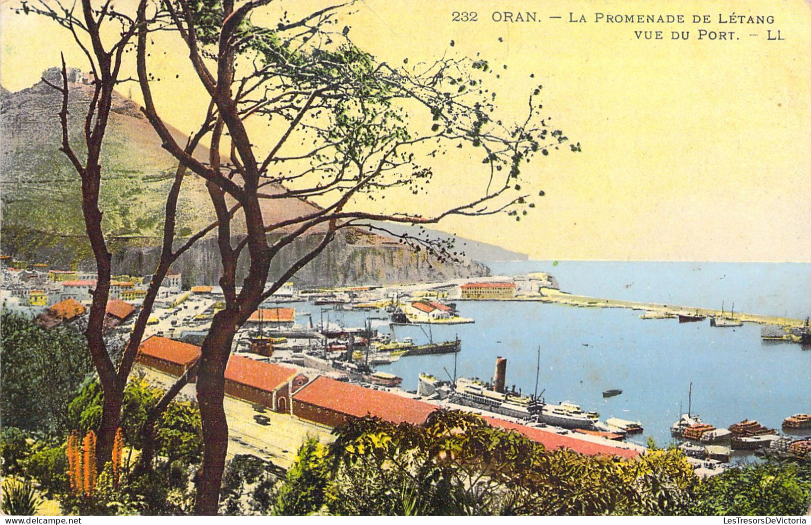 ALGERIE - ORAN - La Promenade De L'étang Vue Du Port - LL - Carte Postale Ancienne - Oran