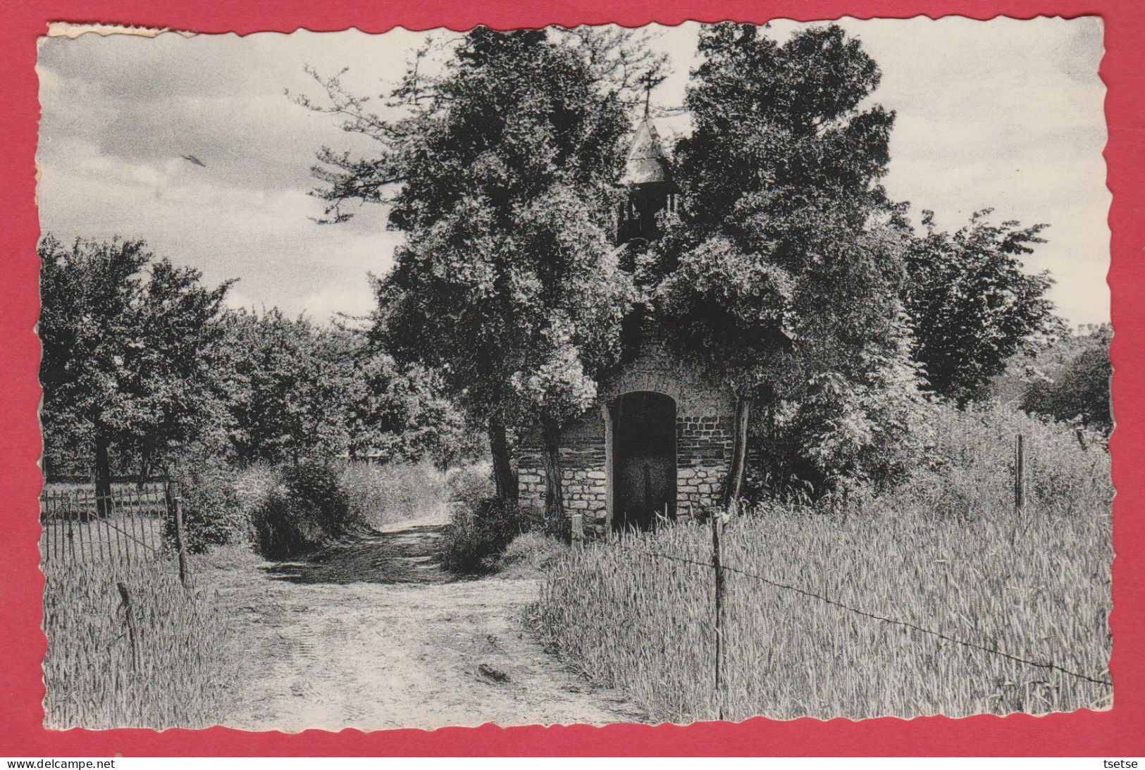 's-Gravenvoeren / Fouron-le-Comte - Chapelle De Steenbosch - 1963 ( Verso Zien ) - Fourons - Voeren