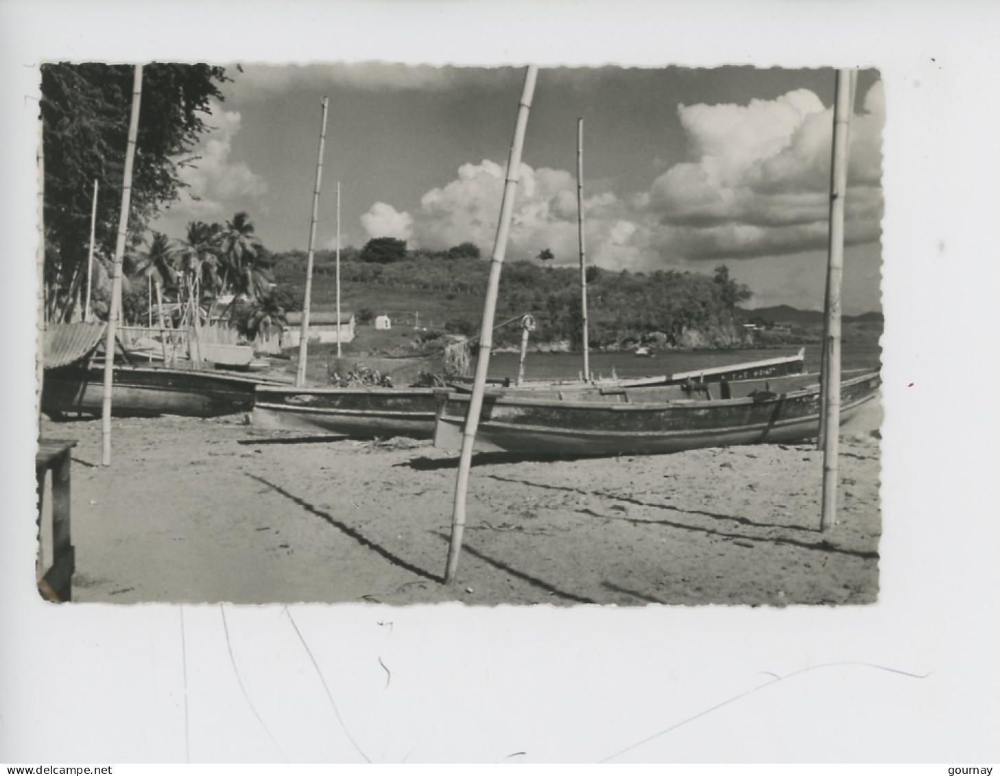 Martinique : Schoelcher, Gommiers Canots De Pêche (cp Vierge N°141 Cécile Duchel Photographe) - La Trinite