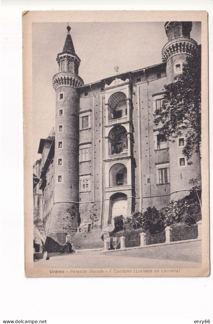 URBINO PALAZZO DUCALE - Urbino