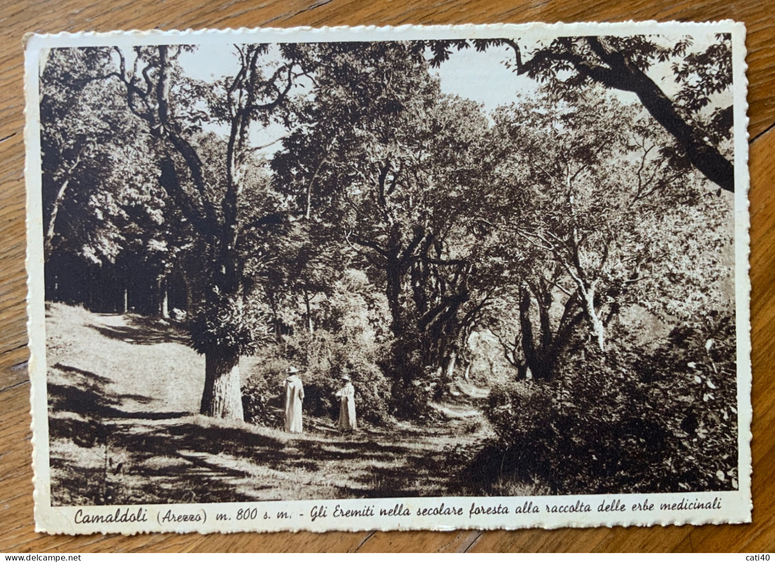 CAMALDOLI - EREMITI NELLA SECOLARE FORESTA RACCOLTA ERBE MEDICINALI ..come Era ...VIAGGIATA  -  G.F. MM 154 - Carrara