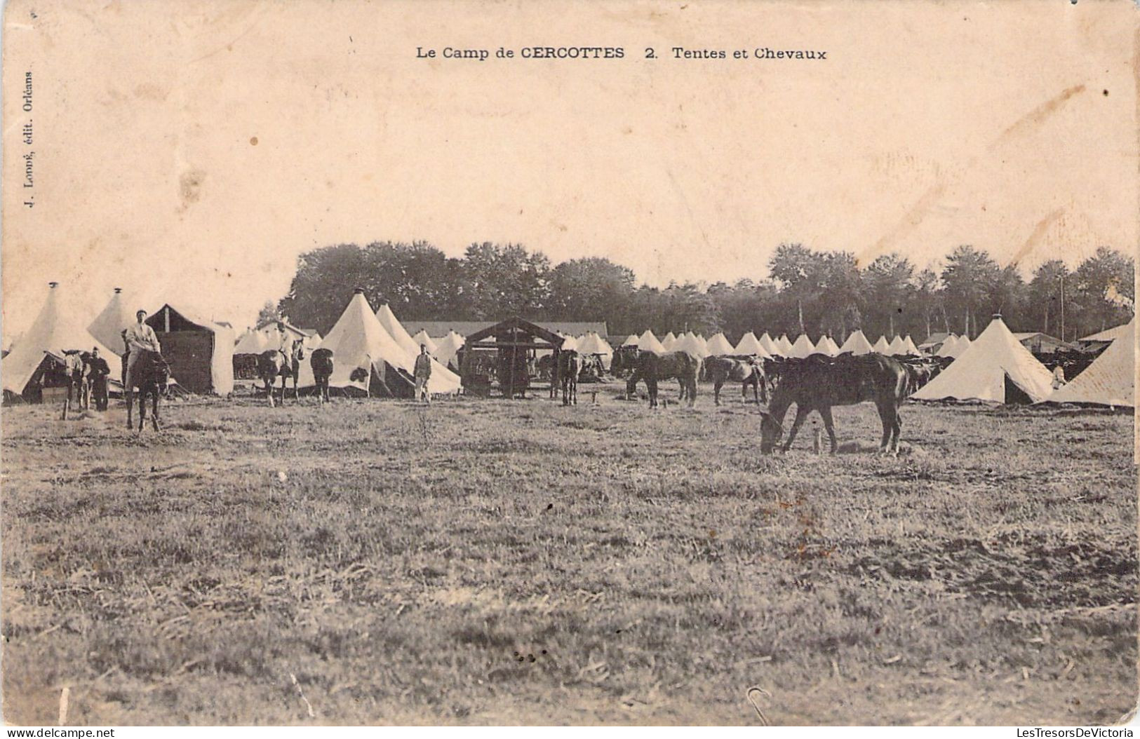 CASERNES - Le Camp De Cercottes - Tentes Et Chevaux - Carte Postale Ancienne - Casernes