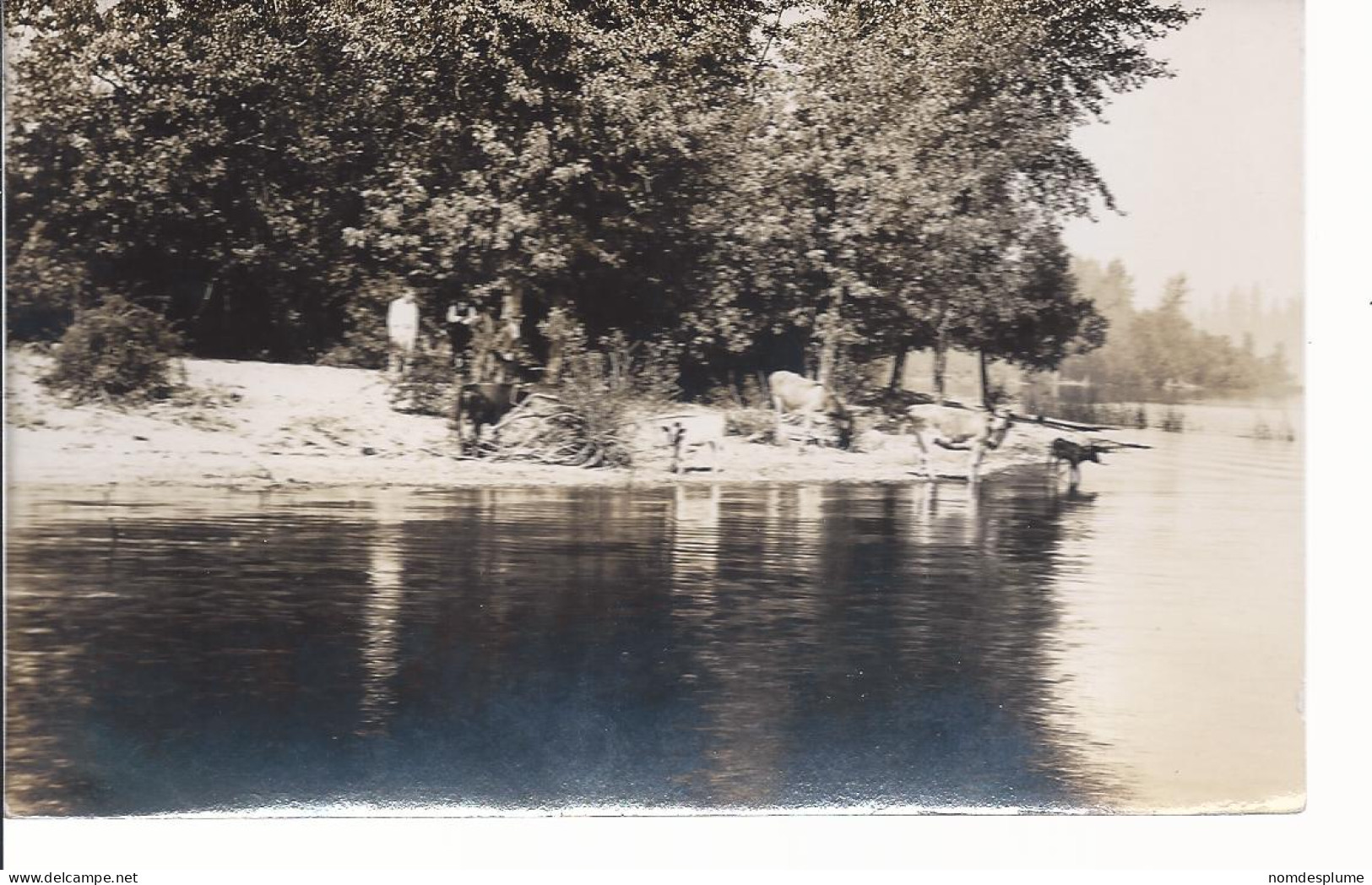 17754) USA WA Lake Washington Real Photo RPPC - Seattle