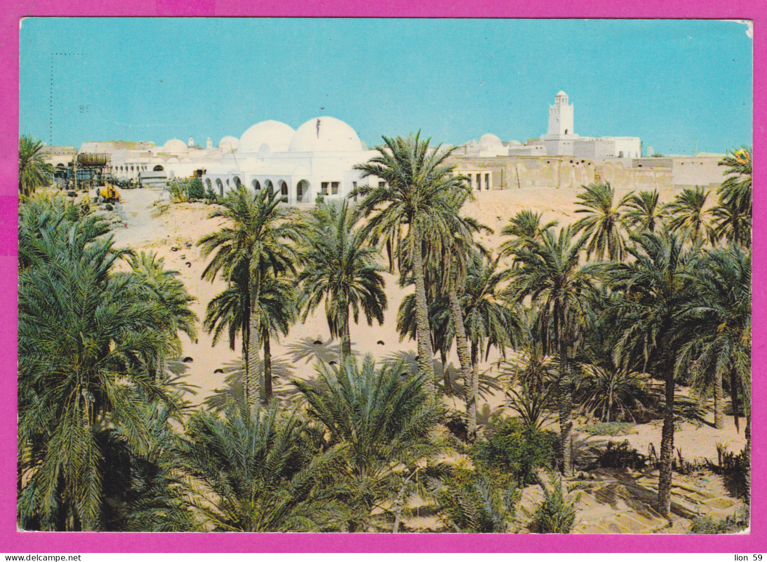 289286 / Algeria - El Oued - Souf Or Oued Souf Is A City "The City Of A Thousand Domes " PC 2703 Algerie Algerien - El-Oued