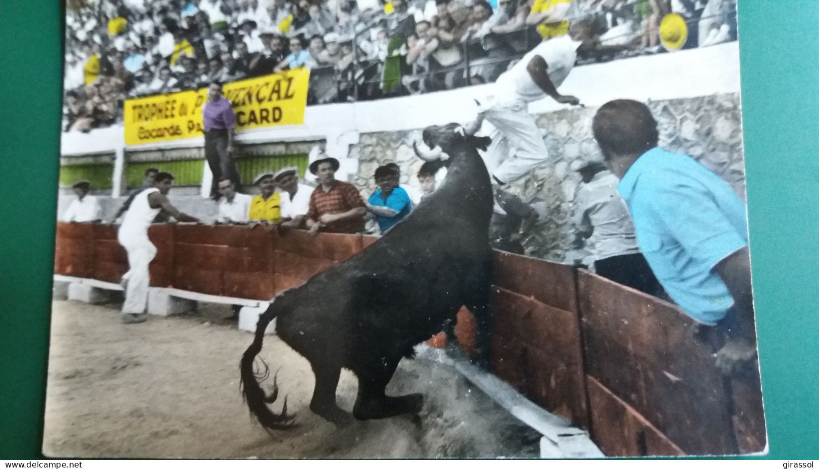 CPSM BELLES IMAGES DE PROVENCE UN COU DE BARRIERE DE CHIN CHEI SUR LE RAZELEUR VOLLE ED GAL TAUREAU TROPHEE PROVENCAL - Bull