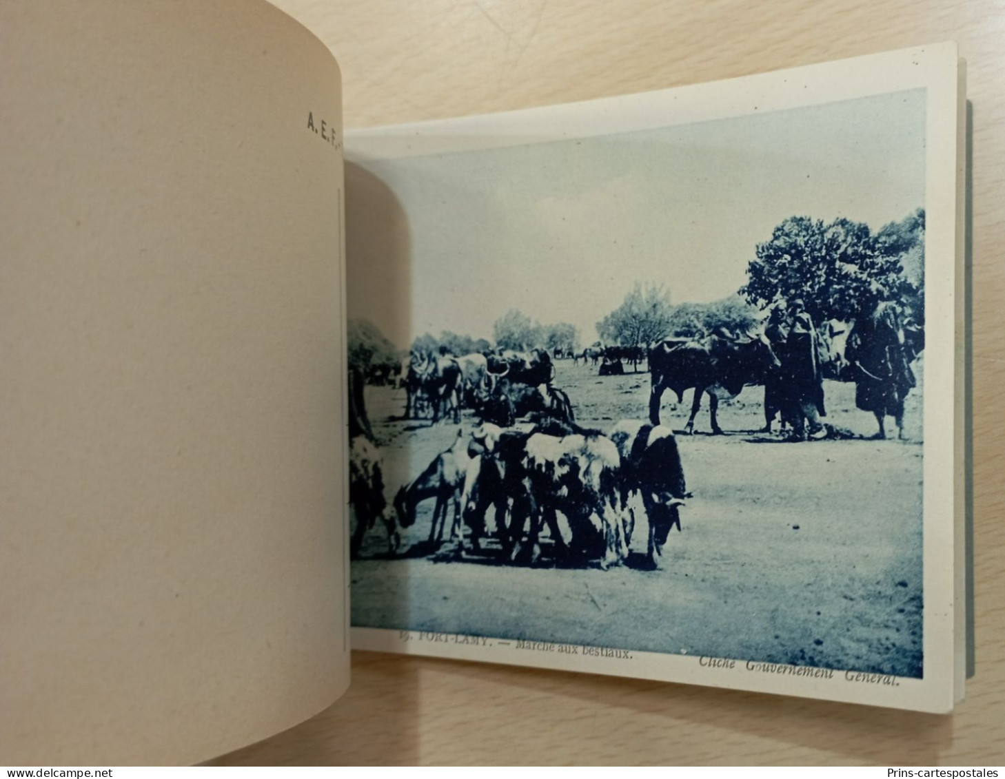 Carnet 20 Cartes Du Tchad - Albums Des Colonies édités Par La Maison D'Art Colonial - Chad