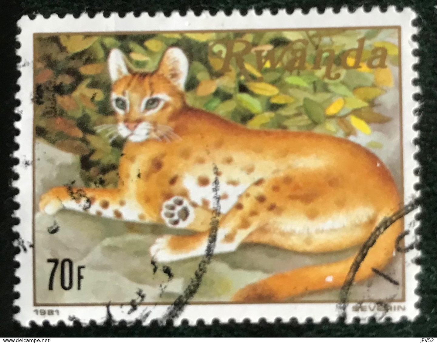Rwanda - République Rwandaise - 15/51 - (°)used - 1981 - Michel 1006 - Roofdieren - Used Stamps