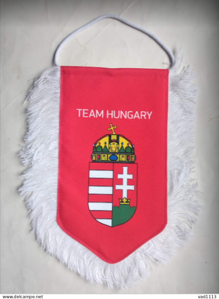 Official Pennant Of The Hungary Ice Hockey Federation. - Autres & Non Classés
