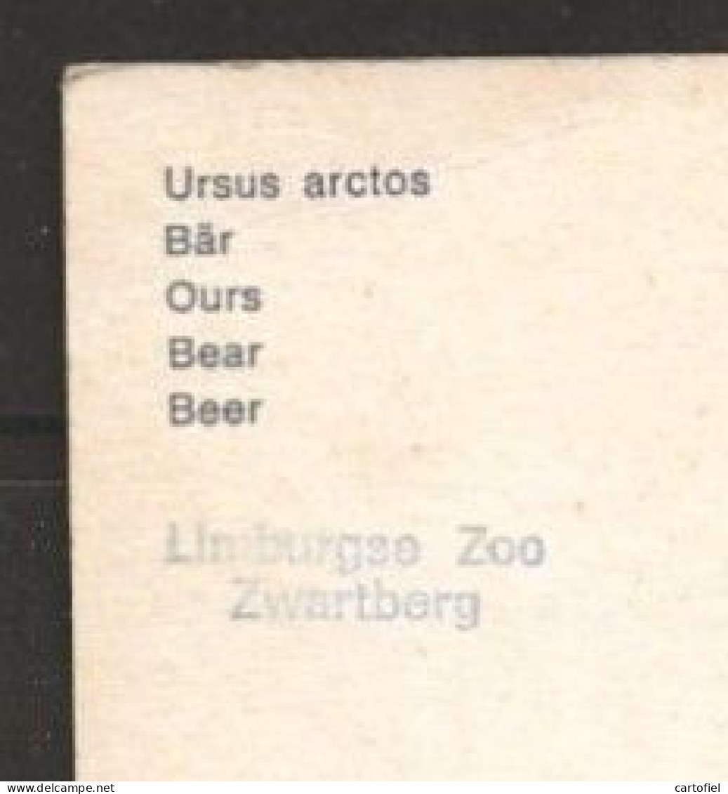 ZWARTBERG-GENK-LIMBURGSE-ZOO-DIERENTUIN-BEER-OURS-ZIE 3 SCANS-NIET VERSTUURD-PLOOI LINKS-ONDER-PLIE-GAUCHE-RARE! ! ! - Genk