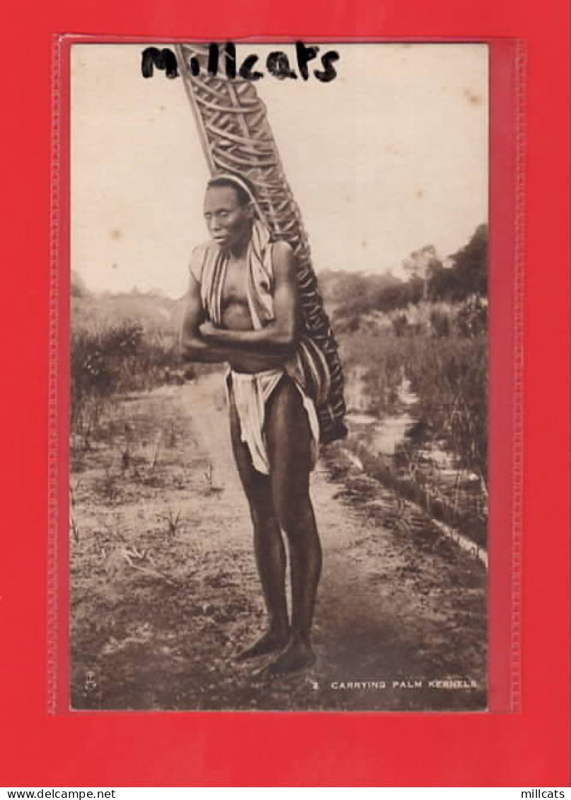 WEST AFRICA   SIERRA LEONE CARRYING PALM KERNELS   RAPHAEL TUCK SERIES - Afrique