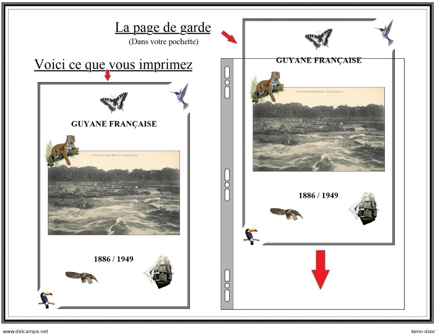 Albums De Timbres à Imprimer   GUYANE - Andere & Zonder Classificatie