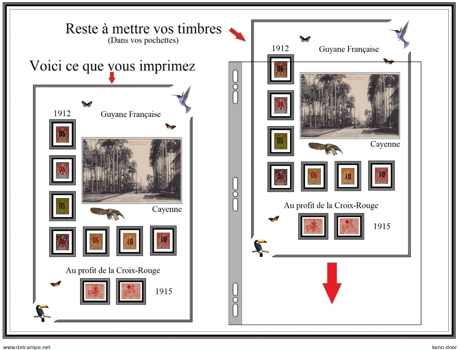 Albums De Timbres à Imprimer   GUYANE - Andere & Zonder Classificatie