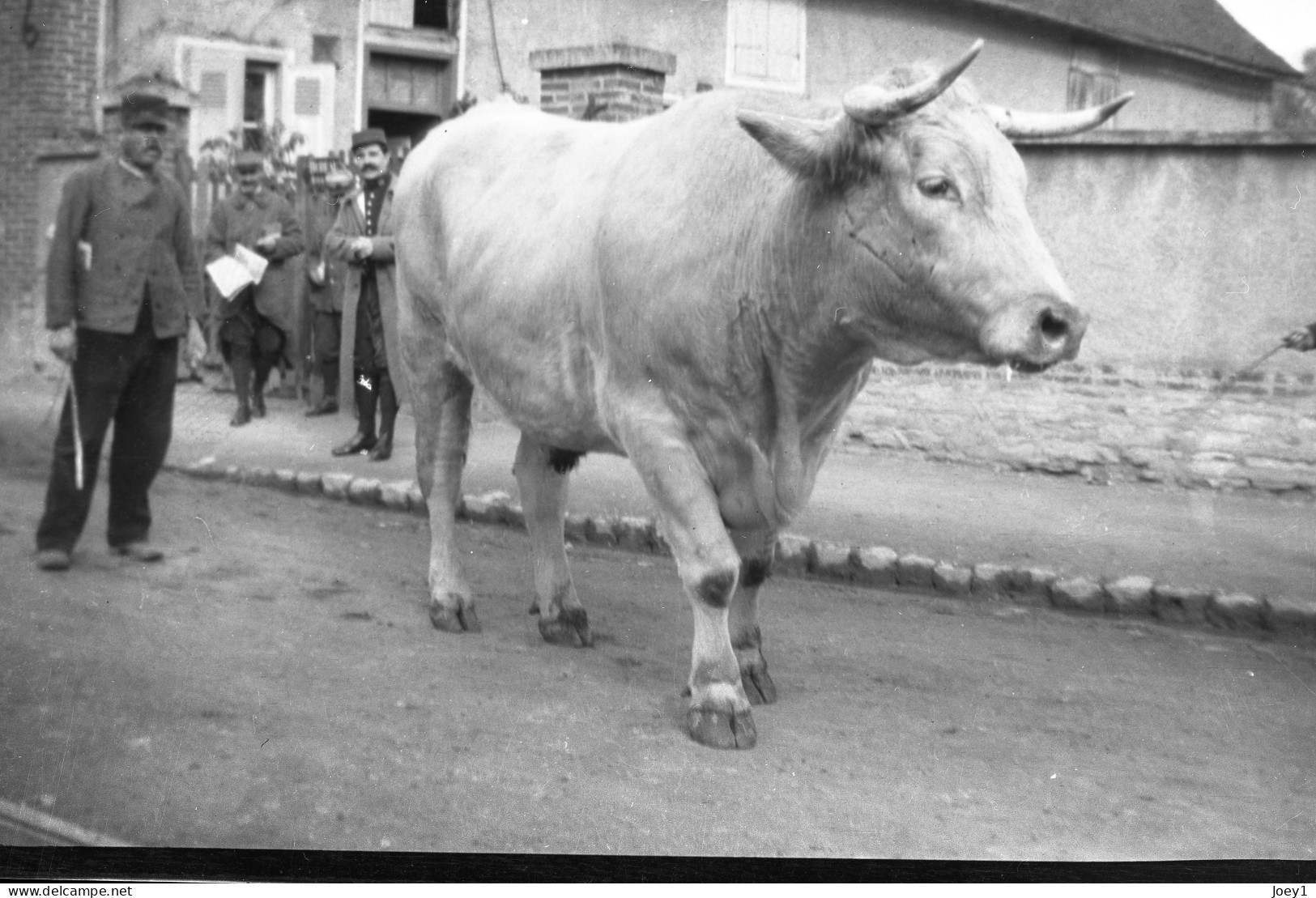 Photo Grande Guerre Format 13/18 Tirage Contemporain Argentique ,scène De La Vie Militaire à La Ferme.. - Guerra, Militari