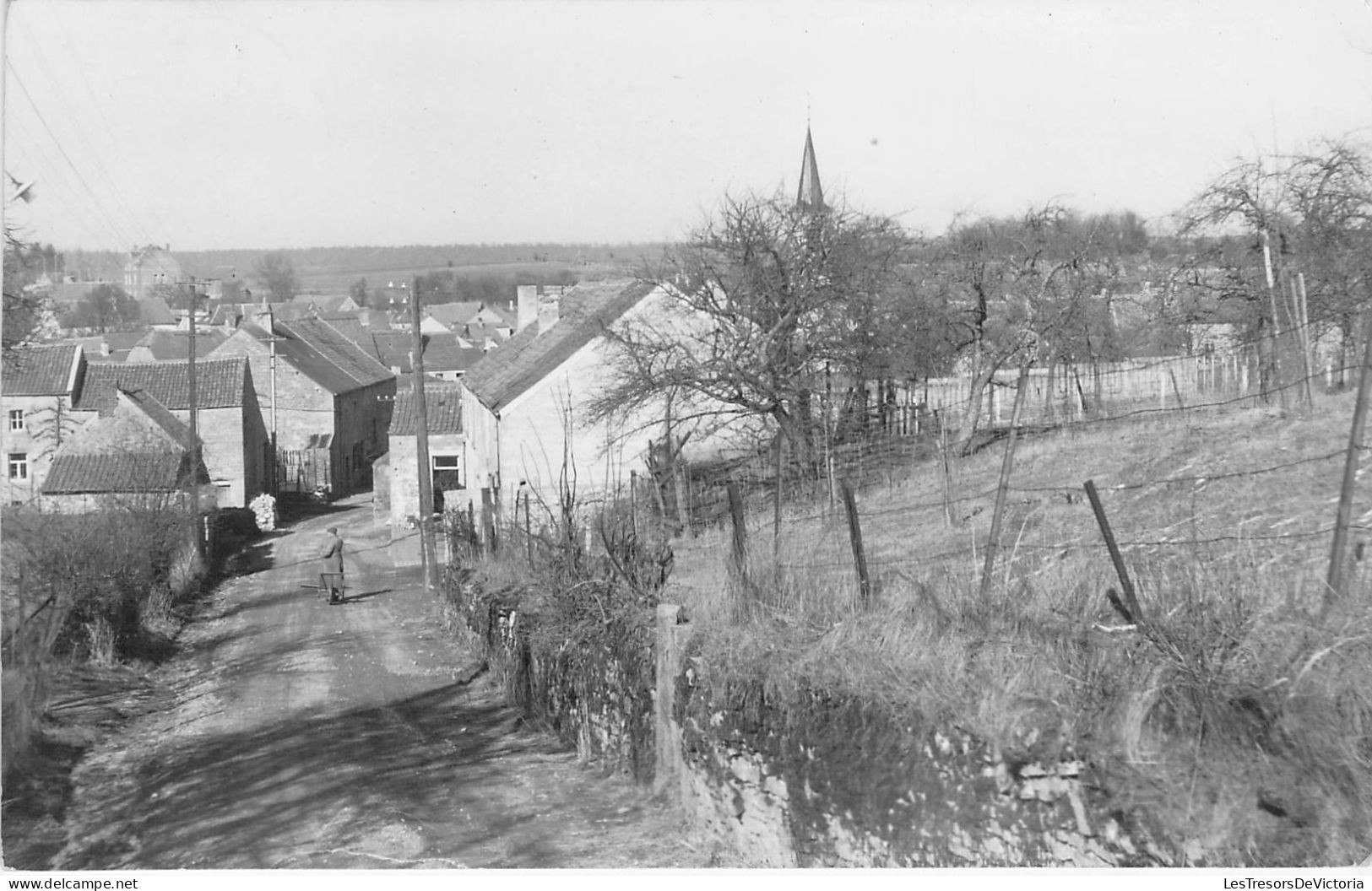 Belgique - Falaën - Panorama - Edit. Gevaert - Clocher - Animé - Carte Postale Ancienne - Dinant