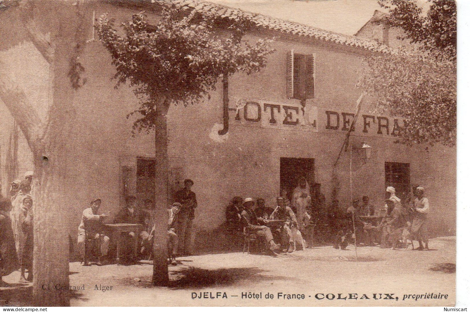 Djelfa Animée Hôtel De France Propriétaire Coleaux - Djelfa