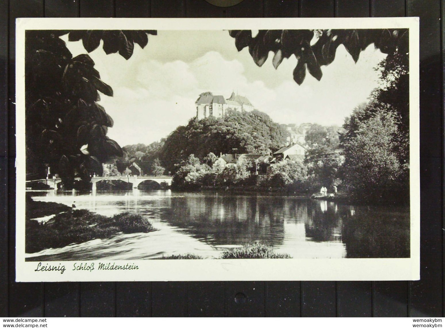 DR: AK Ansichtskarten Von Leisnig Mit Schloß Mildenstein - Blick Vom Fischendorf Vom 11.5.1936 Mit 6 Pfg Hindenburg - Leisnig