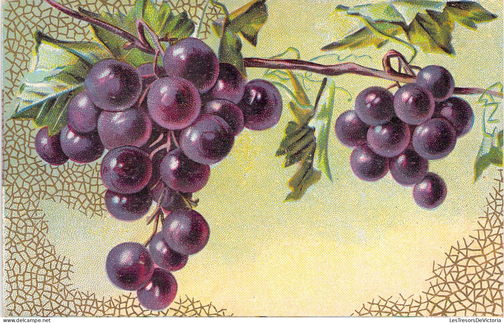 Deux Grappes De Raisins Noires Sur La Vigne - Carte Postale Ancienne - Sonstige & Ohne Zuordnung
