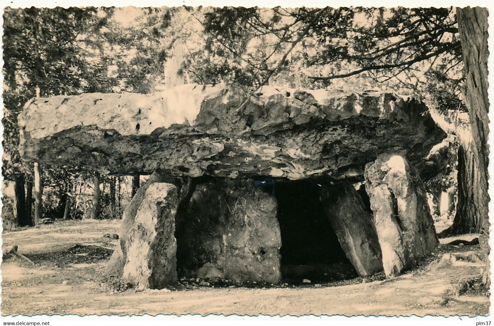 METTRAY - Dolmen , La Grotte Aux Fées - Mettray