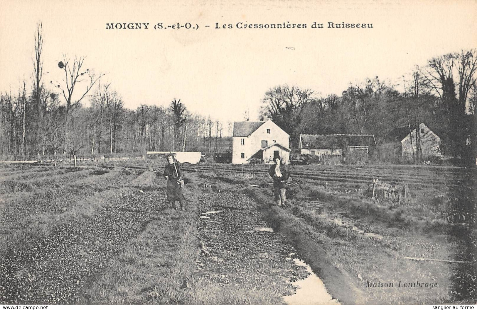 CPA 91 MOIGNY / LES CRESSONNIERES DU RUISSEAU - Sonstige & Ohne Zuordnung