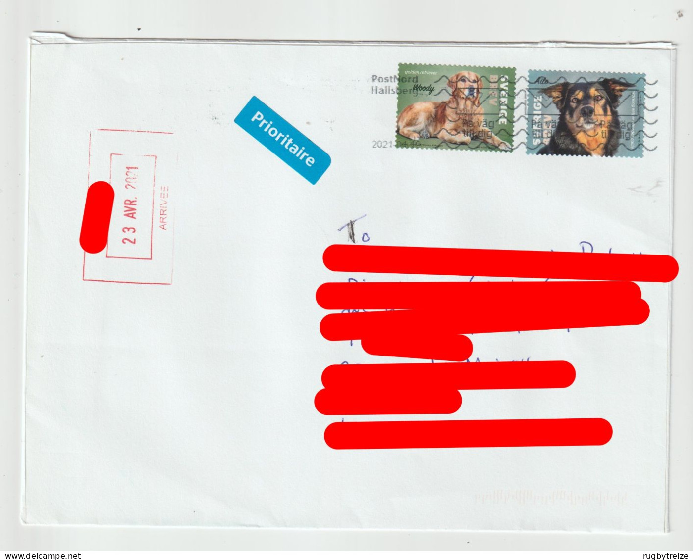 6193 Lettre Cover SUEDE SVERIGE SWEDEN 2021 - CHIEN DOG HUND HALLSBERG - Briefe U. Dokumente