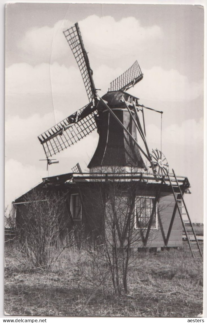 Westzaan; Molen "De Jonge Dirk" - Niet Gelopen. (K. Tanger - Westzaan) - Zaanstreek