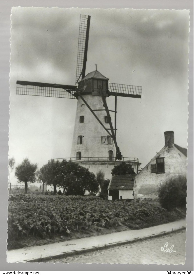 ***  ELLEZELLES  ***   -  Oud Windmolen / Le Vieux Moulin  -  Zie / Voir Scan's - Ellezelles