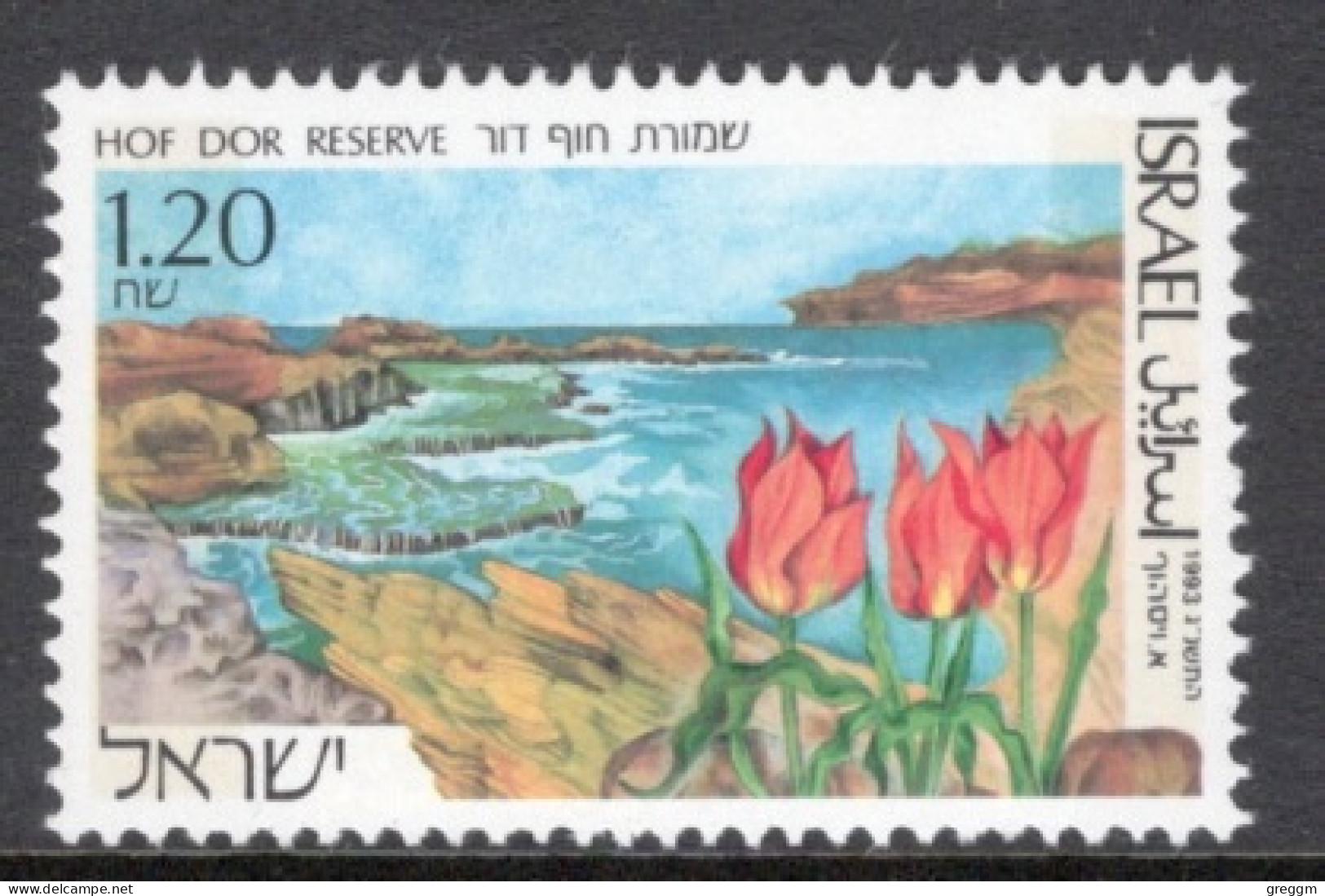 Israel 1993 Single Stamp From The Set Celebrating Nature Reserve In Fine Used - Oblitérés (sans Tabs)