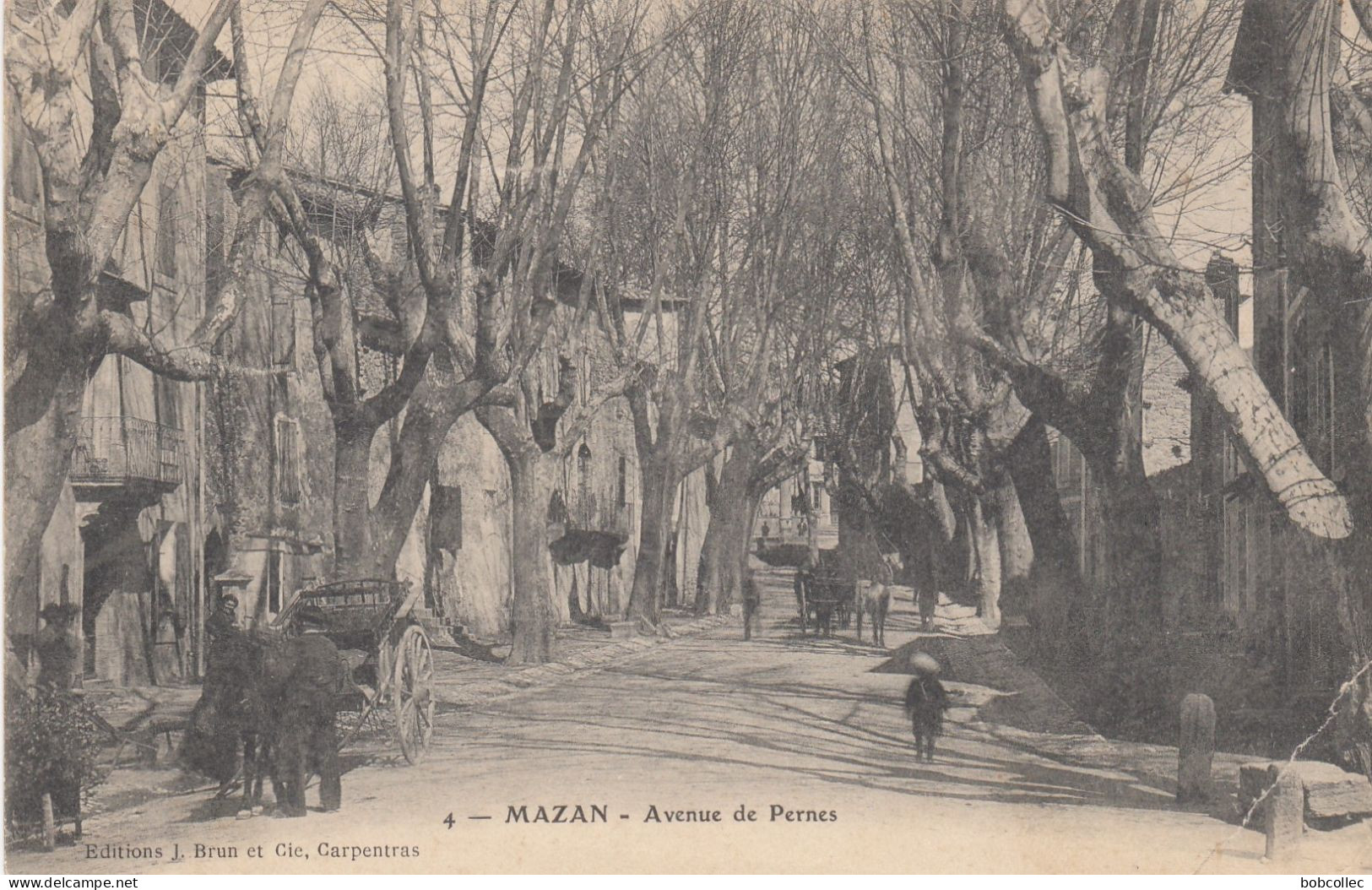 MAZAN (Vaucluse): Avenue De Pernes - Mazan