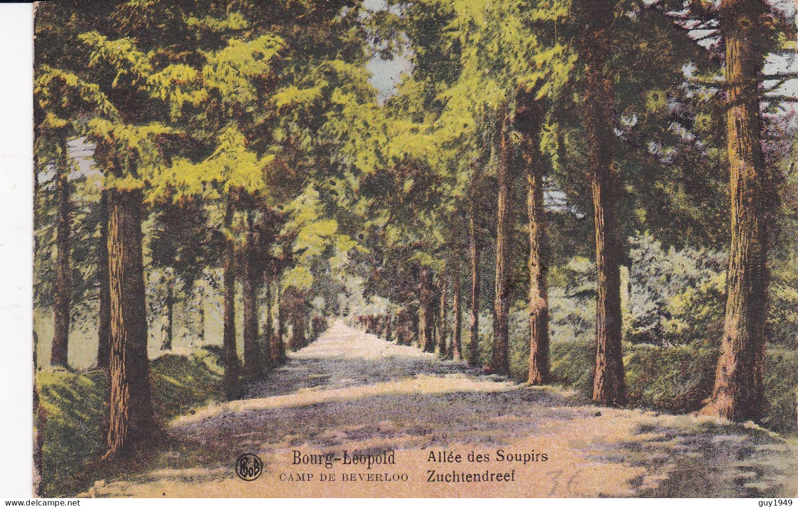 ZUCHTENDREEF - Leopoldsburg (Camp De Beverloo)