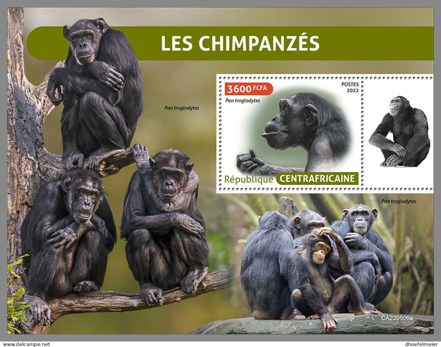 CENTRAL AFRICA 2022 MNH Chimpanzees Schimpansen Chimpanzes S/S - OFFICIAL ISSUE - DHQ2311 - Chimpanzés