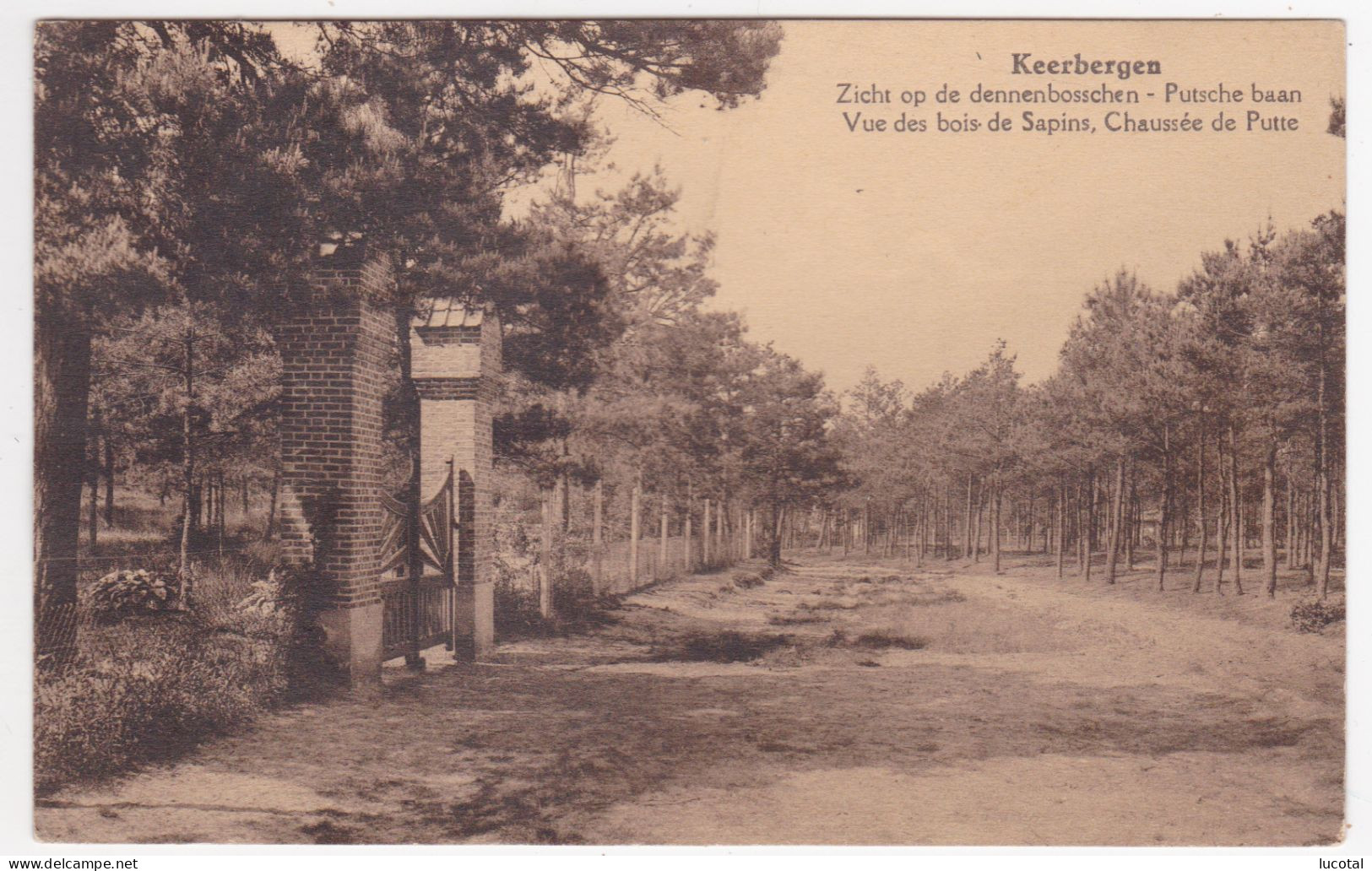 Keerbergen - Putsche Baan - Zicht Op De Dennenbosschen - Uitg. Ed. Casteels, Keerbergen - Keerbergen