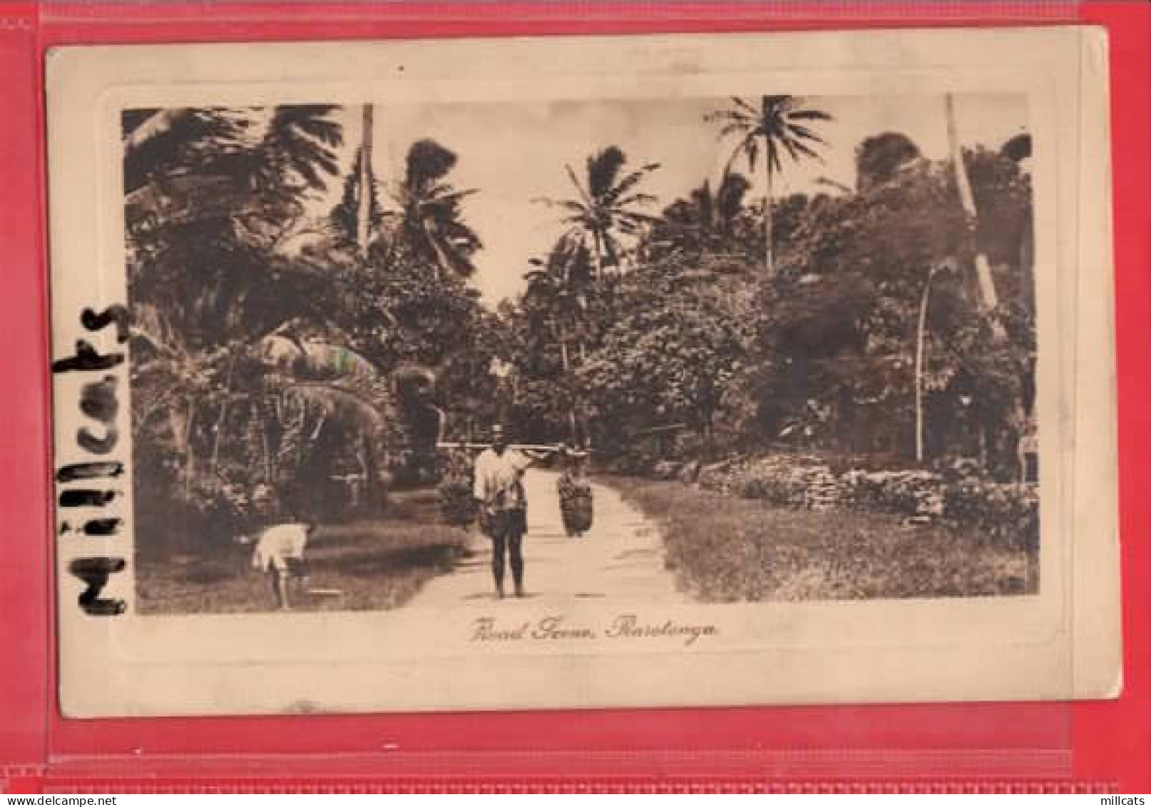 NEW ZELAND COOK ISLANDS  RAROTONGA    ROAD SCENE ETHNIC - Cook