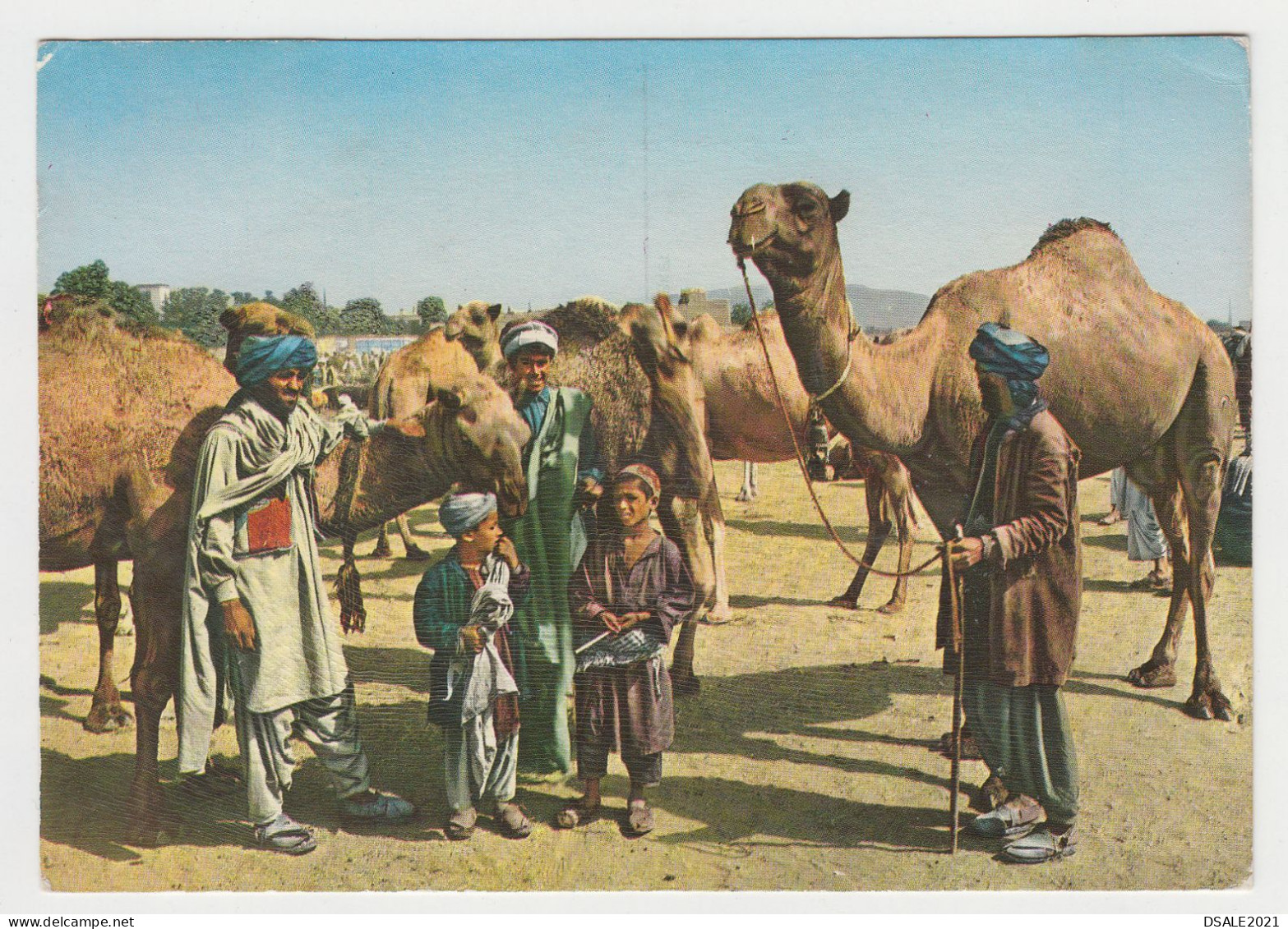 Afghanistan Kabul Traditional Stockyard Boys, Camel, Camel Traders View Vintage Photo Postcard RPPc (6912) - Afganistán