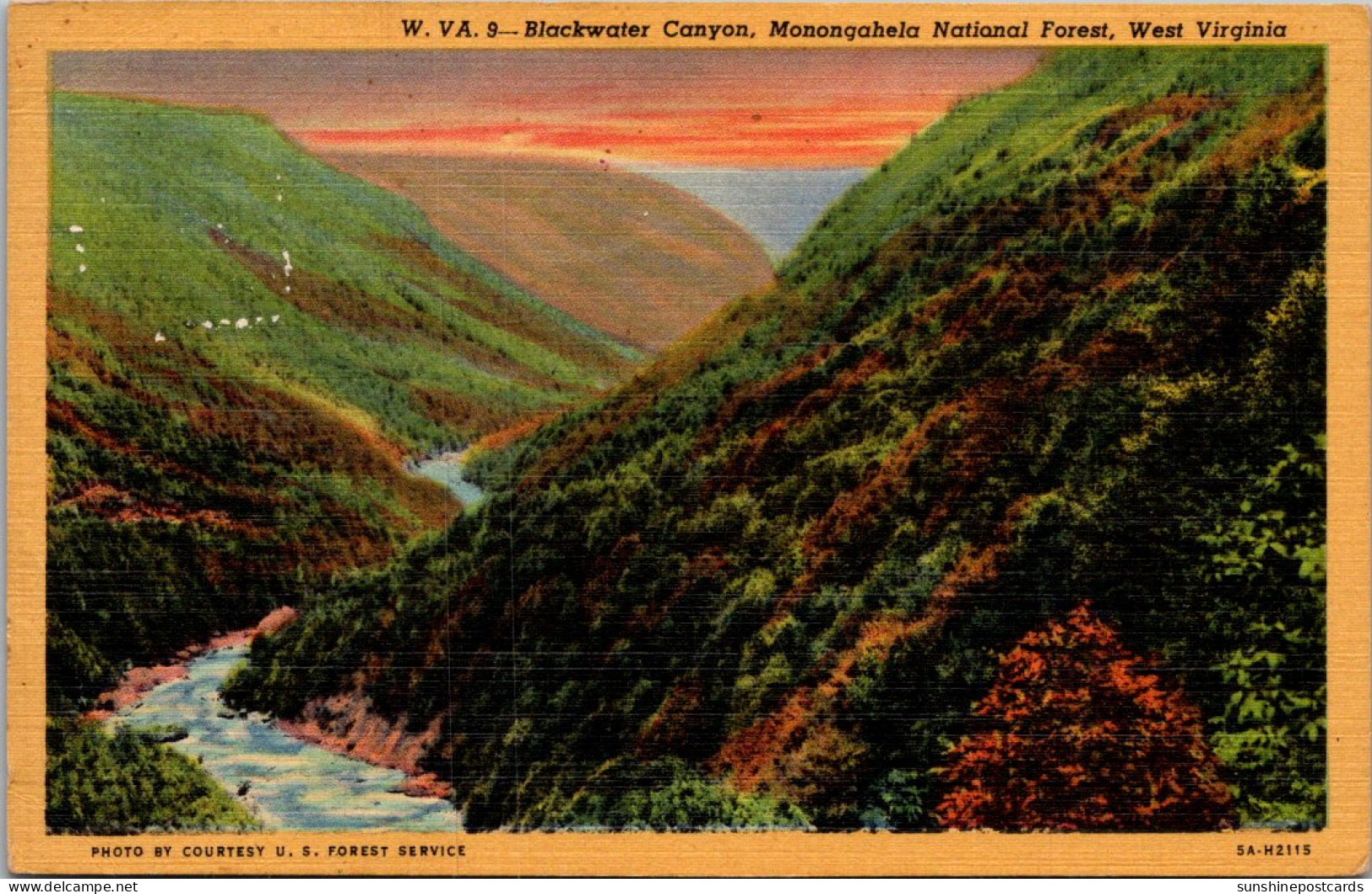 West Virginia Monongehala National Forest Blackwater Canyon 1953 Curteich - Altri & Non Classificati